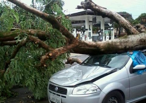 Veja fotos dos estragos causados pela chuva em Manaus