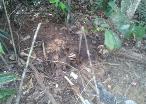  Esqueleto (de homem executado a tiros)  encontrado em ramal na Vivenda Verde     