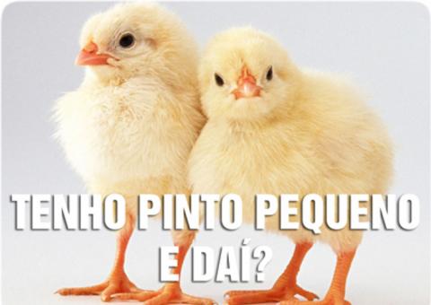 Poluição pode diminuir o tamanho do pênis