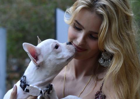 Fiorella Mattheis e Yasmin Brunet levam cachorros a evento de cerveja para cães