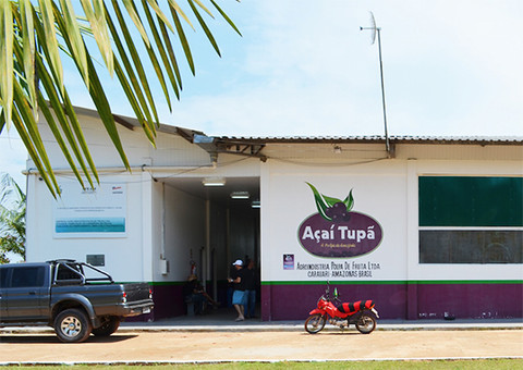 Agroindústria do açaí ganha incentivo em Carauari