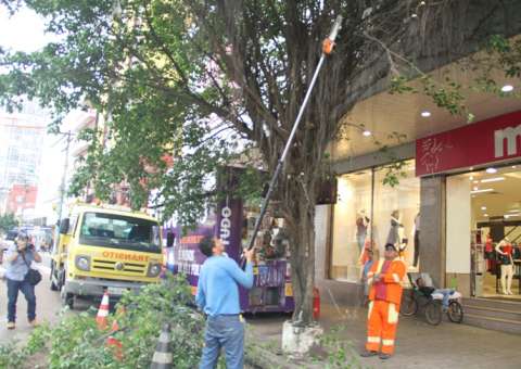 Prefeitura realiza manejo da arborização no Centro Histórico