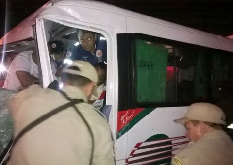 Van bate em árvore e motorista fica preso nas ferragens