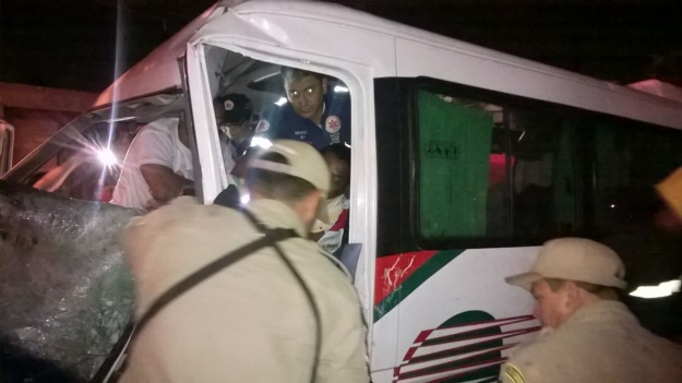 Van bate em árvore e motorista fica preso nas ferragens