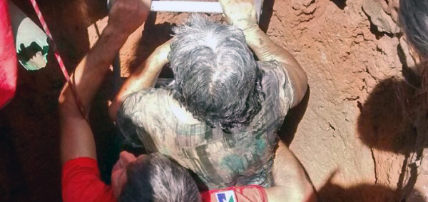 Cadela pitbull salva idosa que caiu enquanto limpava quintal