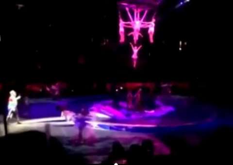 Acidente em circo nos EUA deixa três brasileiras feridas