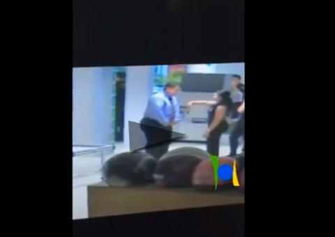 Advogado abre o zíper e ameaça tirar as calças para funcionária em Fórum Trabalhista de Manaus 