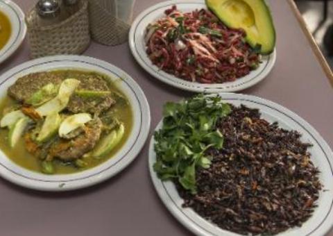 Comida à base de insetos ganha força no México