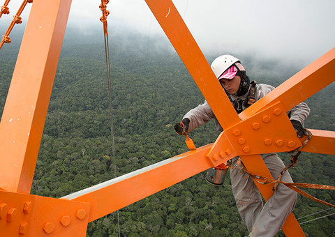 Cientistas constroem torre maior do que a Eiffel na Amazônia