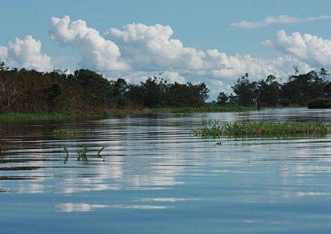 Ministra diz que emissões diminuíram
