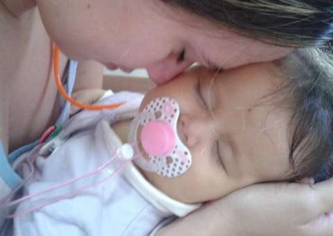 Brasil se reúne para salvar a Sofia