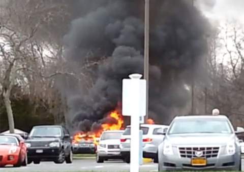 Homem tenta matar besouros com álcool e põe fogo no carro