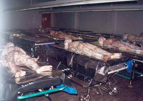 Melhores fotos de alienígenas consideradas verdadeiras