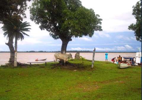 Para dirigente da FAS, adesão do caboclo à sustentabilidade é problema