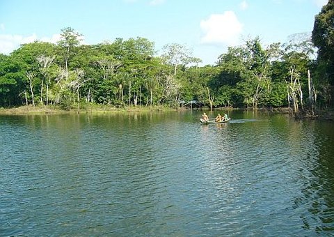 Amazonas propõe criação de escola ambiental exclusiva