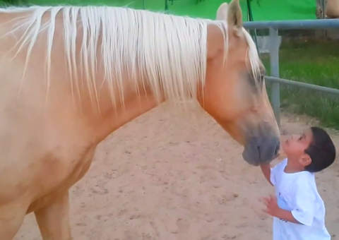 A amizade entre cavalo e menino vai emocionar seu coração