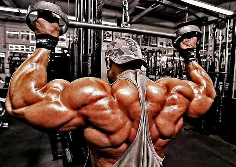 Os jovens e os anabolizantes de academias