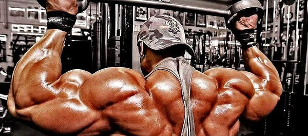 Os jovens e os anabolizantes de academias