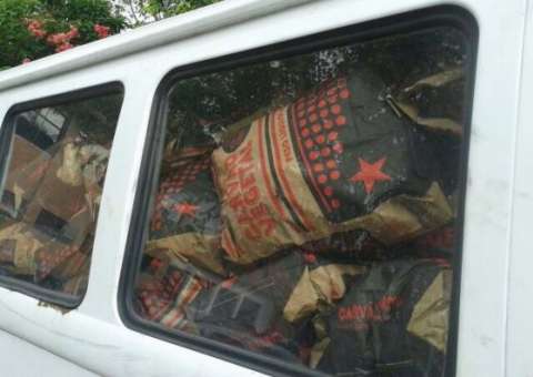 Batalhão Ambiental apreende 2,5 toneladas de carvão