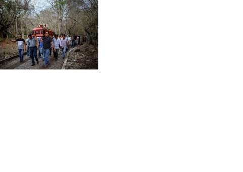 Grupo de parentes encontra cova com mais de 250 crânios humanos 