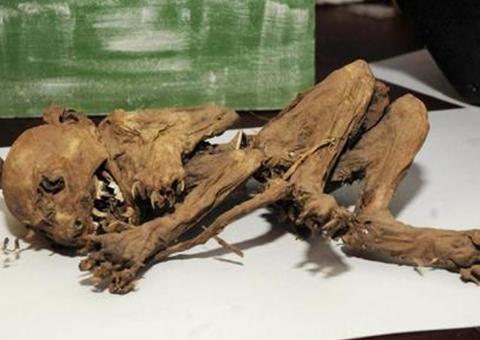 Argentinos exibem esqueleto e dizem ser de chupa-cabras