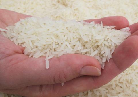 Brasileiro gosta mais de arroz do que de sexo, aponta pesquisa