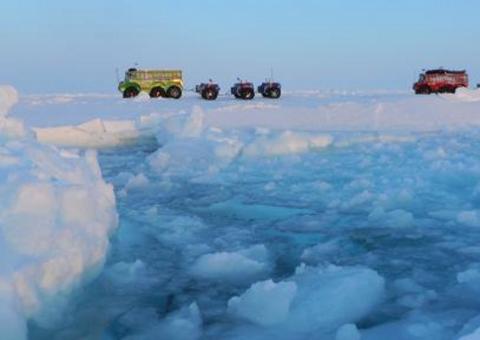 Ártico mais verde por causa do degelo é o novo padrão