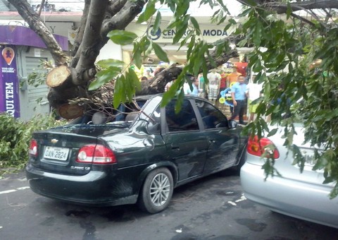 Árvore cai em cima de um carro estacionado na da Avenida Eduardo Ribeiro 