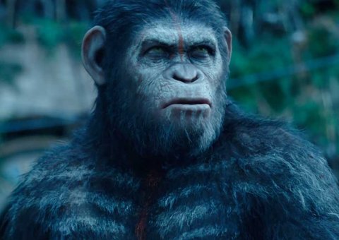 A última chance para paz entre humanos e primatas. Confira mais um trailler