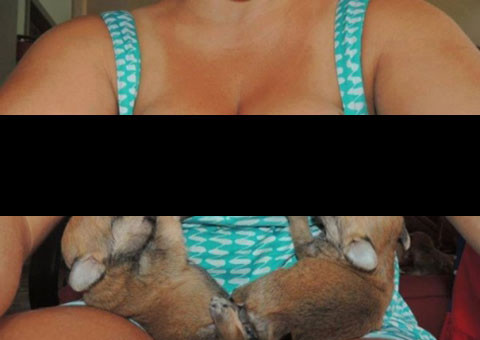 Mulher amamenta cachorrinhos recém-nascidos