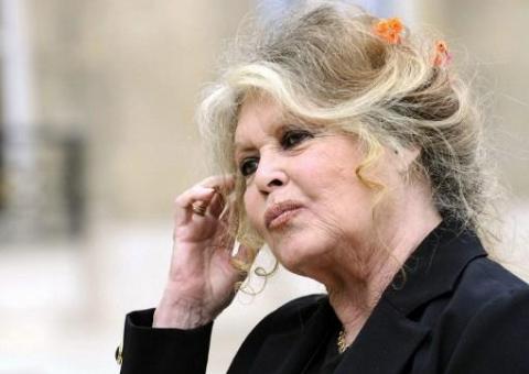  Diva dos anos 50 e ativista dos animais, Brigitte Bardot briga por direitos dos cavalos