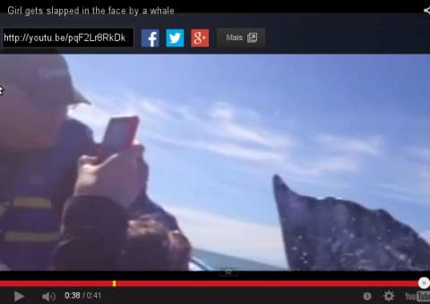 Aluna leva "tapa" de baleia durante aula no mar