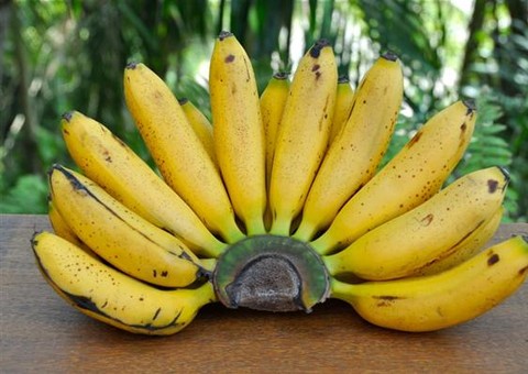 Lei proíbe produto químico para amadurecer frutas