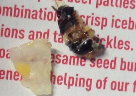 Revoltada, Mullher faz alerta no facebook após encontrar barata em seu Big Mac 