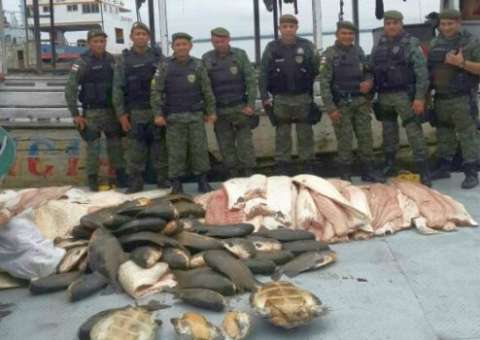 Batalhão Ambiental apreende 1,3 tonelada de pescado em embarcação