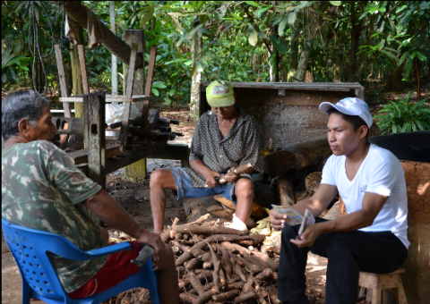 Ipaam lança campanha do perigo aviário em Manicoré e Borba