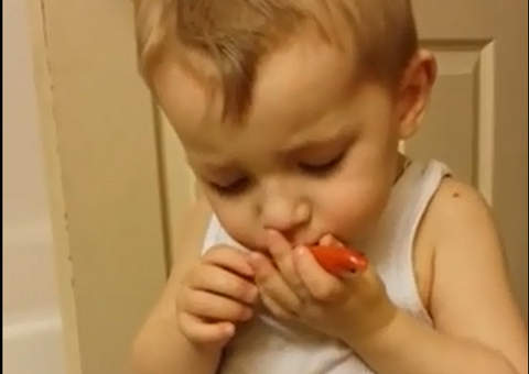 Menino sofre ao se despedir de peixinho morto e comove internautas