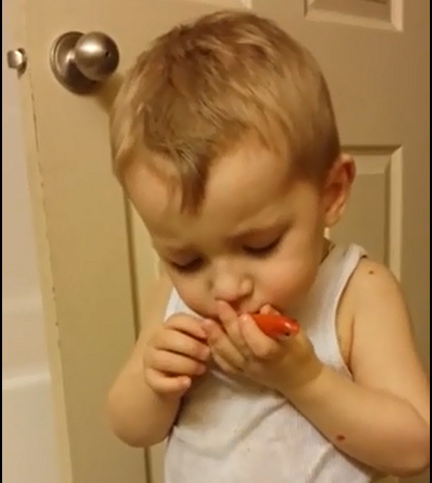 Menino sofre ao se despedir de peixinho morto e comove internautas