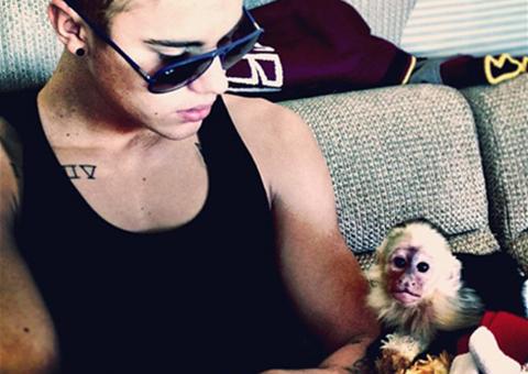 Na Alemanha, Justin Bieber tem macaco de estimação apreendido