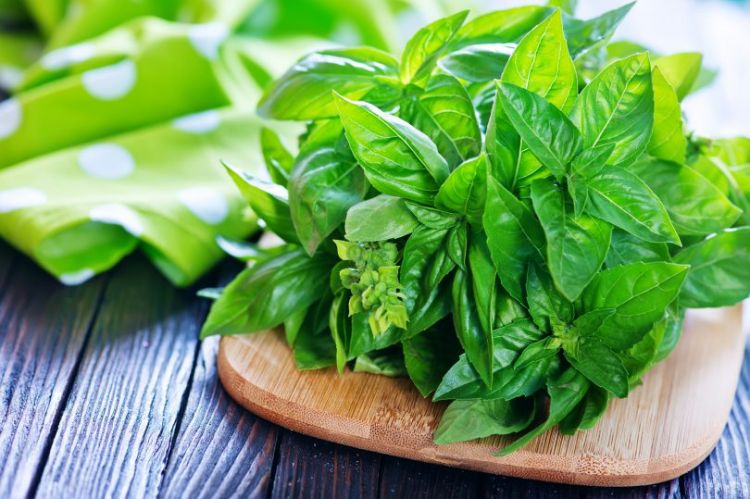 bigstock-fresh-basil-103074920-810x539.jpg