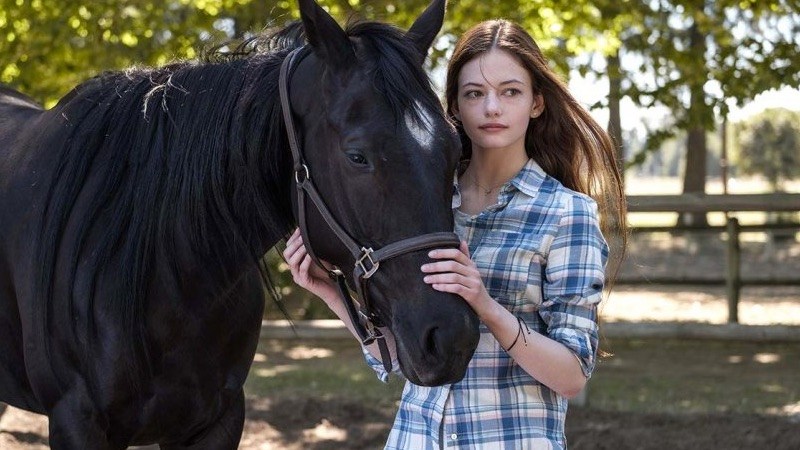 ‘Beleza Negra’ novo longa da Disney+ ganha trailer; Assista!