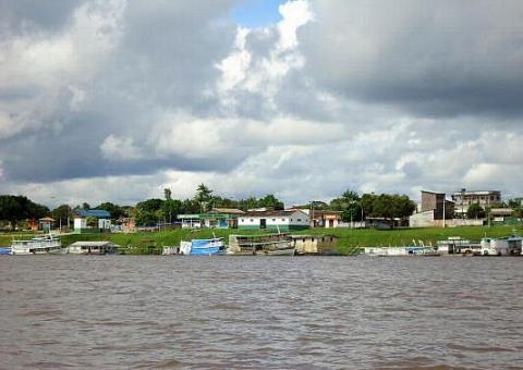 Idesam vai lançar “Diagnóstico das Cadeias Produtivas Florestais”