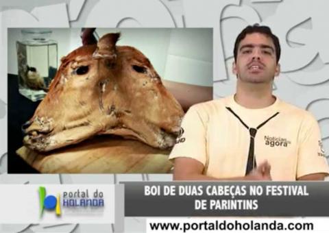 Boi de duas cabeças no Festival de Parintins