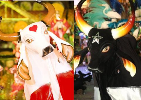 Bois de Parintins podem virar patrimônio da humanidade