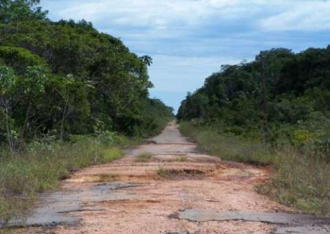 Deputado diz ser impossível contornar obstáculos à pavimentação da BR-319