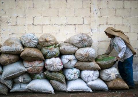 Brasil doa toneladas de alimentos para cafeicultores na Guatemala