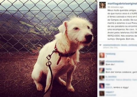 Marília Gabriela pede ajuda e oferece recompensa por cadela desaparecida