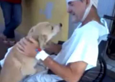 Cão espera o dono há 15 dias em frente ao hospital onde ele estava internado
