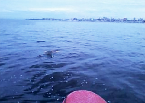 Bombeiros resgatam cadáver na baía do rio Negro