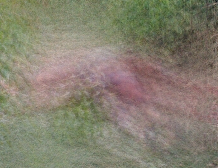 Corpo é encontrado na zona rural de Iranduba coberto de folhas